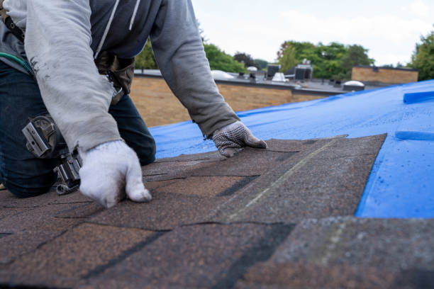 Best Roof Gutter Cleaning  in Marietta, OH